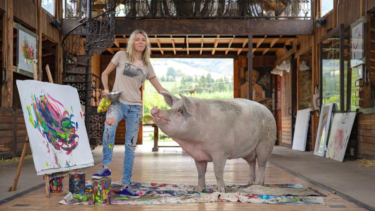 Inspiring Farm Sanctuary And Famous Painting Pig Hotel Franschhoek Esterno foto