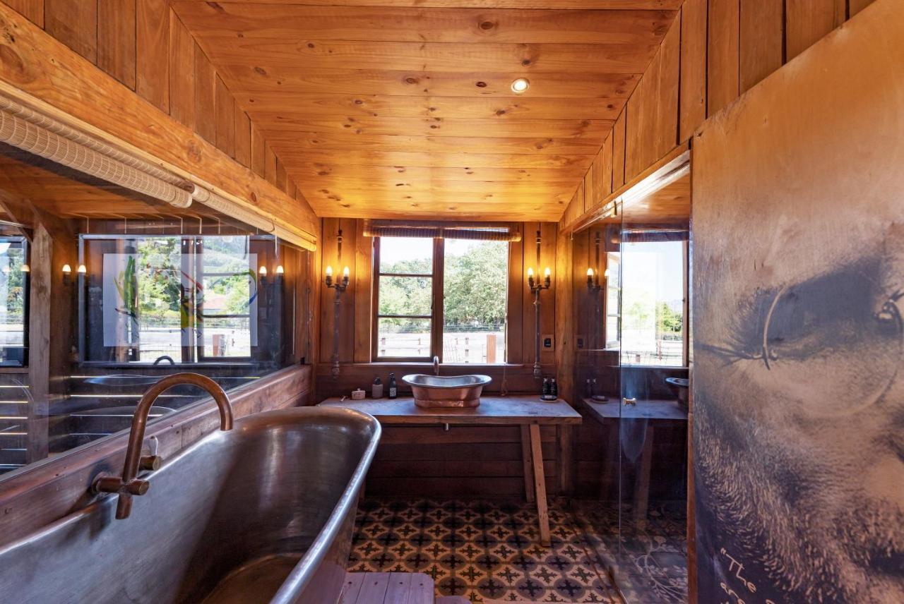 Inspiring Farm Sanctuary And Famous Painting Pig Hotel Franschhoek Esterno foto