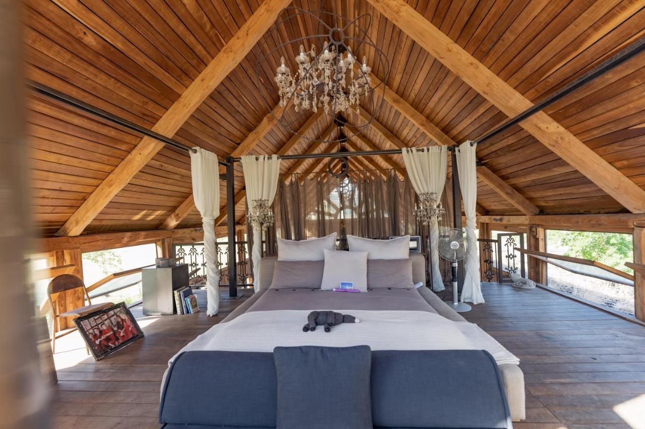 Inspiring Farm Sanctuary And Famous Painting Pig Hotel Franschhoek Esterno foto