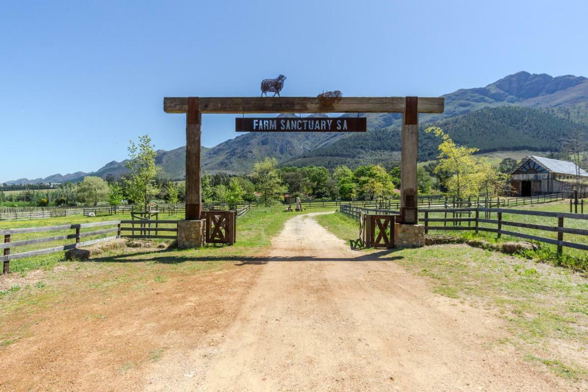 Inspiring Farm Sanctuary And Famous Painting Pig Hotel Franschhoek Esterno foto